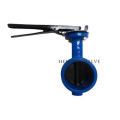 Top quality outdoor mini 250mm metal hard seal single flange valve